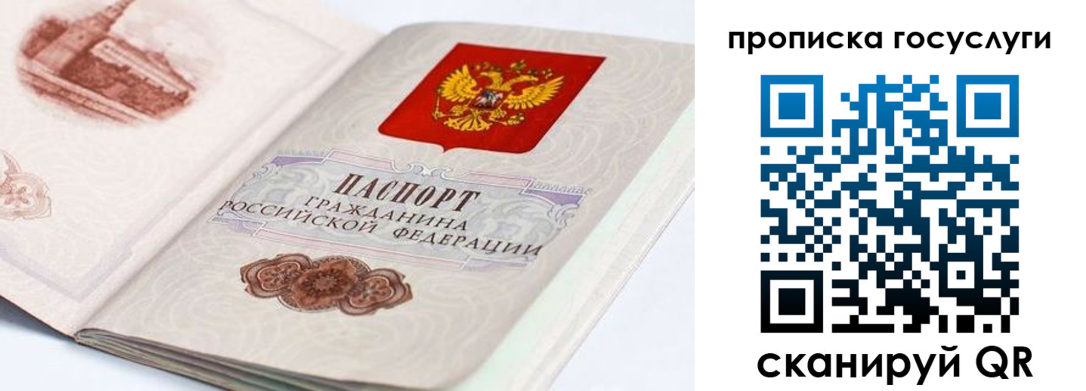 прописка регистрация в Козловке